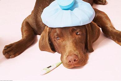 《坦克世界》开发商新作《钢铁猎手》封测上线